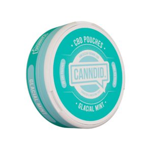 canndid pouch glacial mint