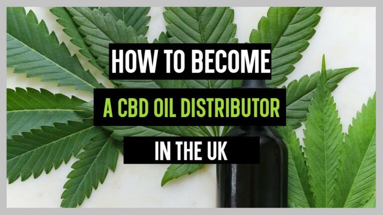 How to Become a CBD Oil Distributor in UK